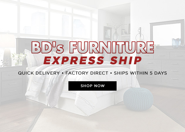 BD-Express-Banner
