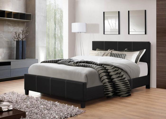 Black Leather Queen Bed Frame,InStore Products