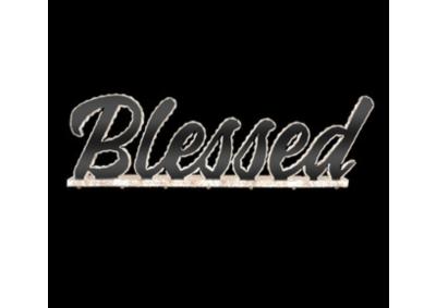 Image for NY-BLESSED
