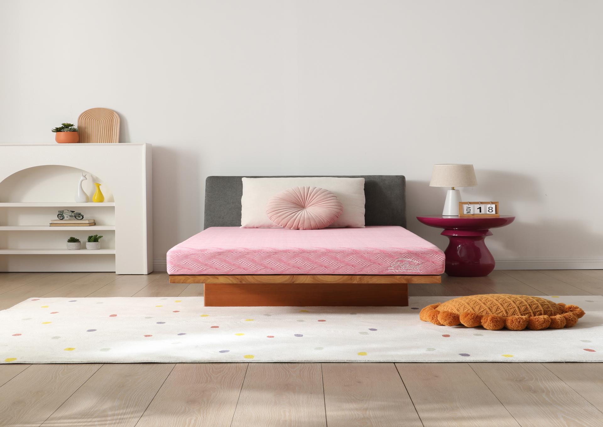 L'Baiet Pink or Blue Full Foam Mattress,February 12 2025 eCircular