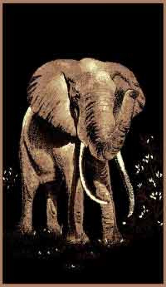 Elephant Rug,Persian Weavers Rugs