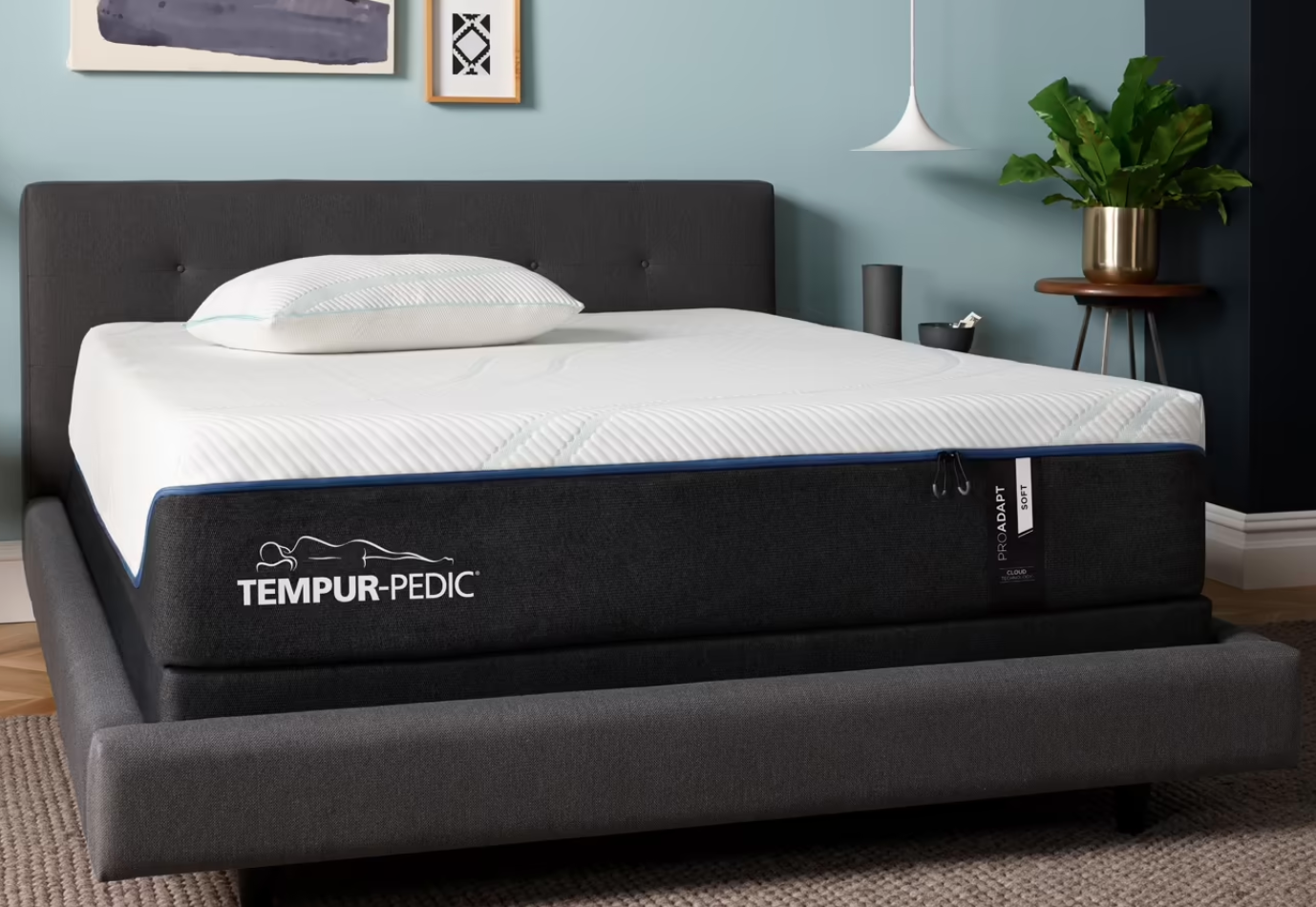 King ProAdapt Soft,Tempurpedic