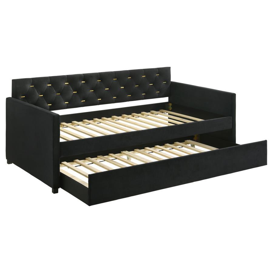 Kendall Upholstered Twin Daybed with Trundle Black,InStore Products
