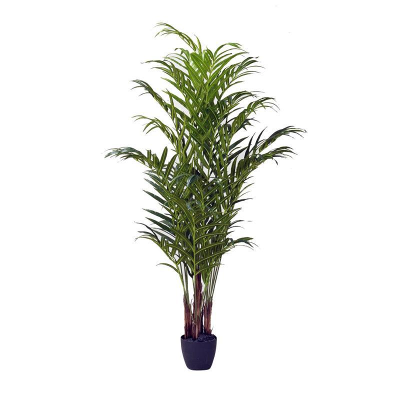 8' Palm with pot,DW Silks