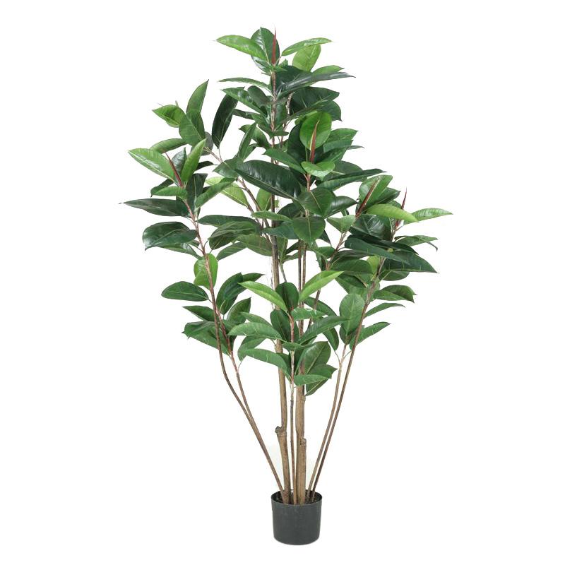 5' Potted Rubber tree ,DW Silks