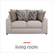 Shop Living Room