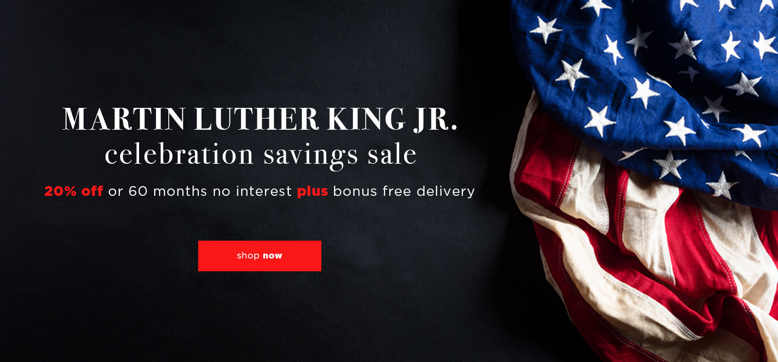 MLK Sale - 20% Off or 60 Months No Interest Plus Free Delivery
