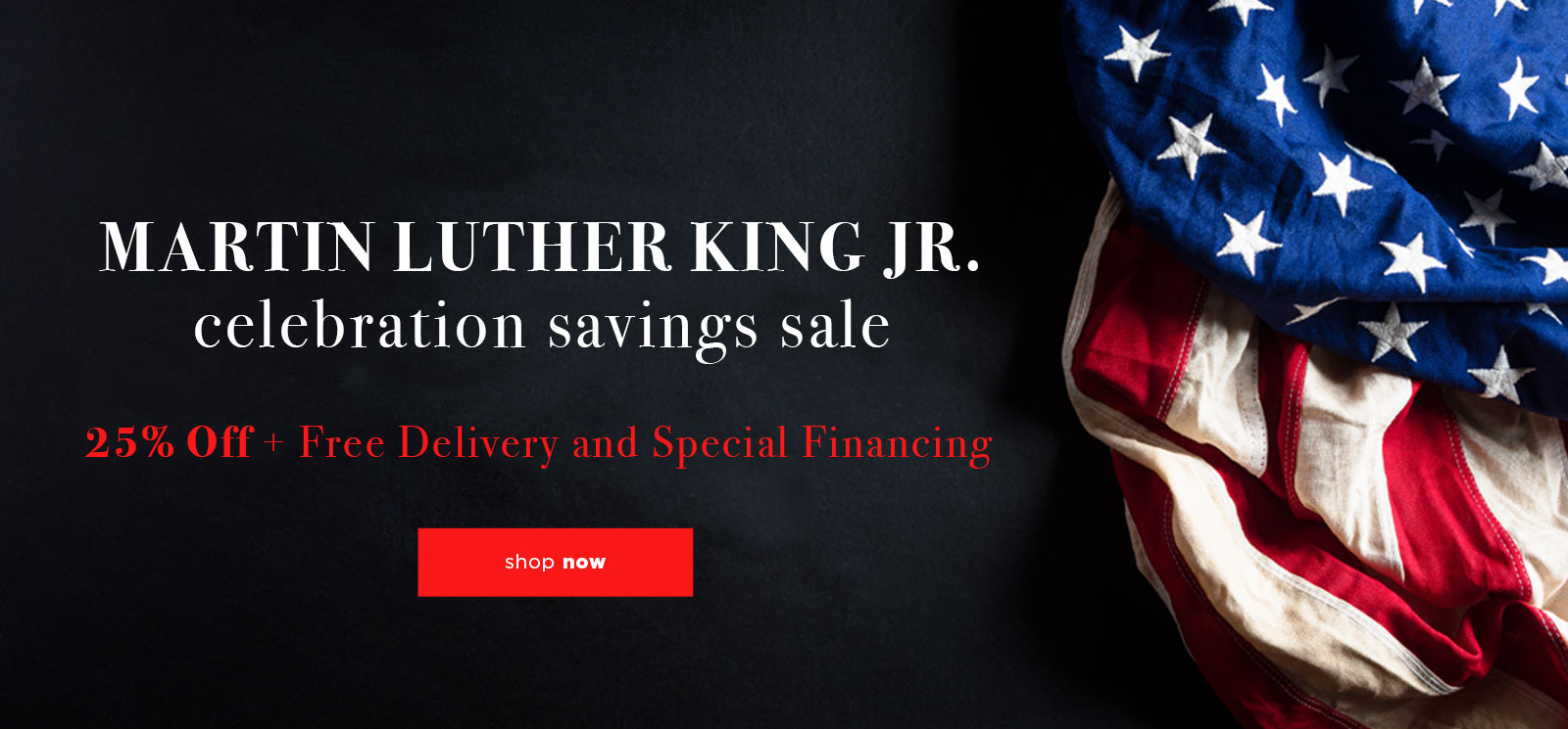 MLK Sale 25% Of + Free Delivery and Special Financing