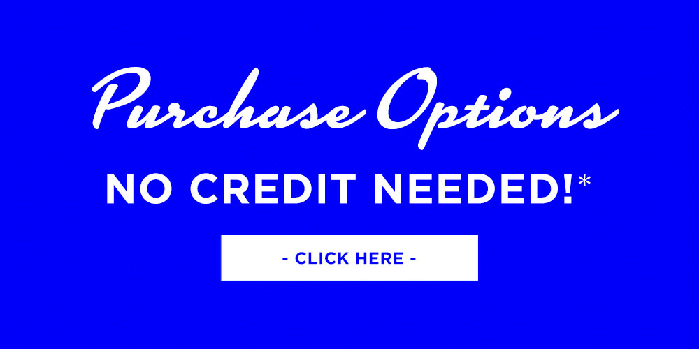 Purchase Options - Click to Learn More