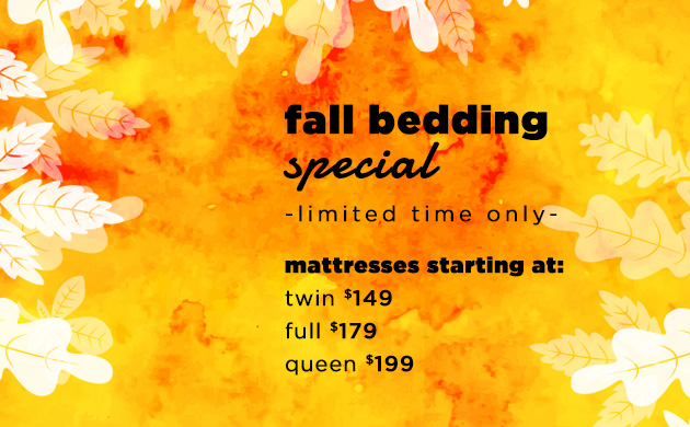 Fall Bedding Special