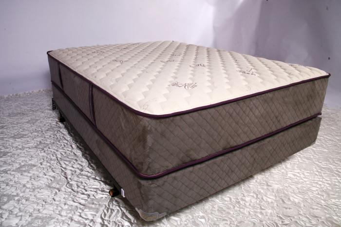 Sierra Spinal Care Extended Twin,Bed Post Mattresses 