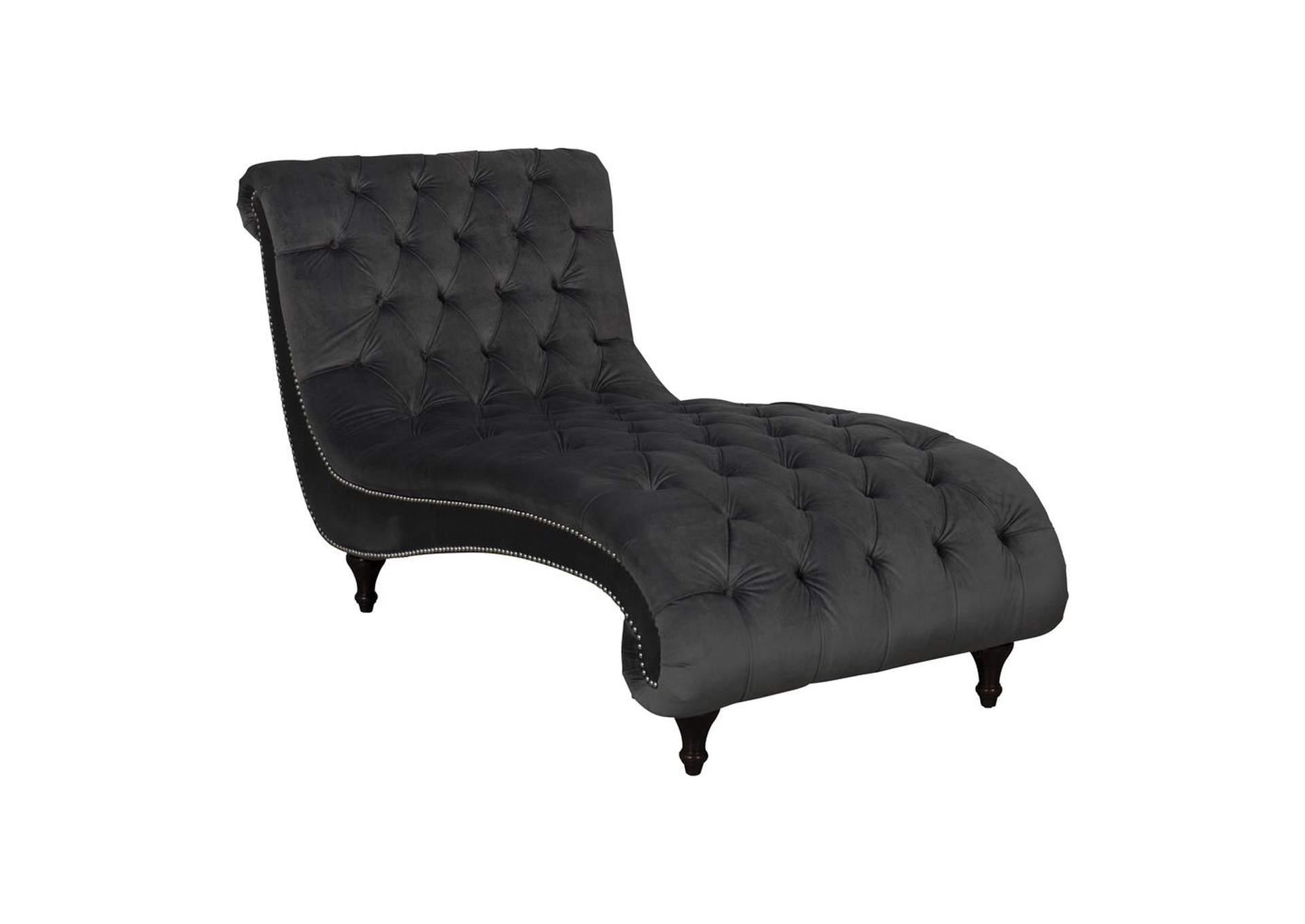 Chaise,COASTER