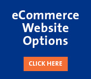 eCommerce Website Options
