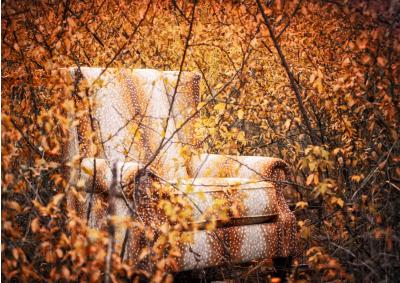 Image for Canyon Chair